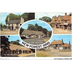 AJLP4-ANGLETERRE-0331 - new forest inns