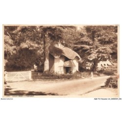 AQGP12-0724-ROYAUME-UNI - swan green - lyndhurst