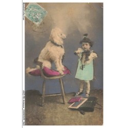 AXOP8-0885-ANIMAUX - Fillette joue au violon et chien