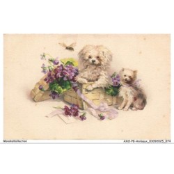 AXOP8-0892-ANIMAUX - Chiens poodle