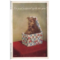 AXOP8-0914-ANIMAUX - I've just popped up to see you
