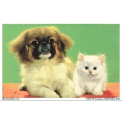 AXOP8-0902-ANIMAUX - Chien pikinois et chaton
