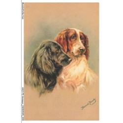 AXOP9-0930-ANIMAUX - Chiens epagneuls tibétains