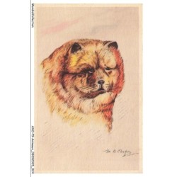 AXOP9-0927-ANIMAUX - Chien