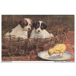 AXOP9-0937-ANIMAUX - Chiens et poussins