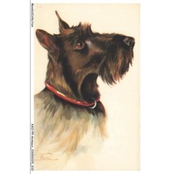 AXOP9-0931-ANIMAUX - Terrier ecosais
