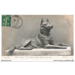 AXOP9-0944-ANIMAUX - Salon de 1907 - Tom par jean joire