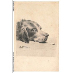 AXOP9-0953-ANIMAUX - Chien