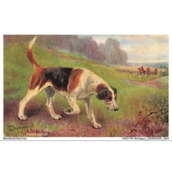 AXOP9-0947-ANIMAUX - Foxhound