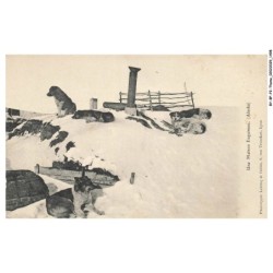 BY-BFP2-1035-CHIEN - UNE MAISON ESQUIMAU - ALASKA