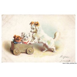 BK-BFP1-0490-ANIMAUX - Chiens - spitz - famille de chiens