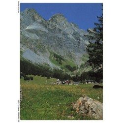 AOTP13-0907-SUISSE - VILLARS-CHESIERES - Alpes Vaudoises - Solalex sur Barboleusaz