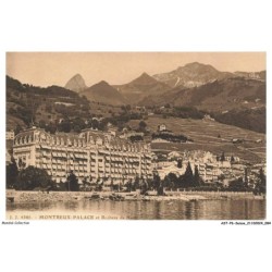 ASTP6-0365-SUISSE - MONTREUX-PALACE et rochers de naye