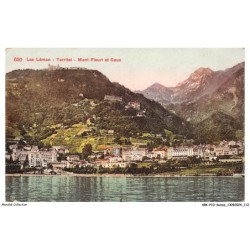 ARKP10-0689-SUISSE - TERRITET - Lac Leman - Mont fleuri et Caux