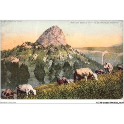 ACIP5-SUISSE-0348 - MONTREUX - DENT DE JAMAN ET PATURAGE ALPESTRE