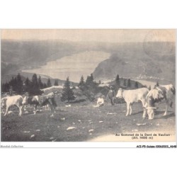 ACIP5-SUISSE-0360 - AU SOMMET DE LA DENT DE VAULION TROUPEAU VACHES