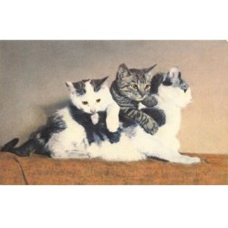 CHATS -MK40045 MAMAN CHATTE ET SES DEUX CHATONS