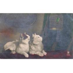 CHATS -MK40048 DEUX CHATS CAGE A OISEAUX