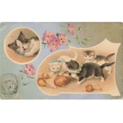 CHATS -MK43659 CHATS QUI JOUENT AVEC DES OIGNONS FLEURS