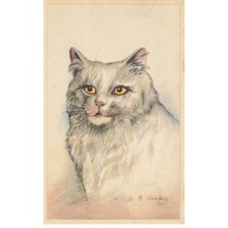 CHATS -MK40150 CHAT BLANC YEUX JAUNE PAR ILLUSTRATEUR M.B COOPER