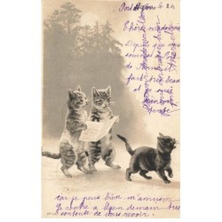 CHATS -MK40119 DEUX CHATS QUI MARCHE ET UN CHAT NOIR