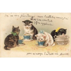CHATS -MK40038 CHATONS QUI BOIVENT DANS DES TASSES