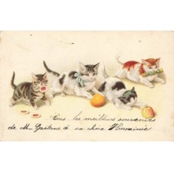 CHATS -MK40039 QUATRES CHATS NOURRITURE POMME ORANGE