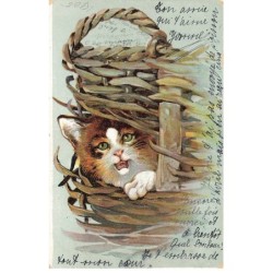 CHATS -MK40114 CHAT DANS UN PANIER PANIER DECHIRE
