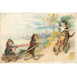 CHATS -MK40036 CHATS JEUX VOITURE EN BOIS