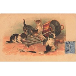 CHATS -MK40110 CHATS CASSEROLLE OIGNONS
