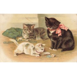 CHATS -MK40107 CHATS NOIR BLANC ET GRIS JOUE AVEC UNE FICELLE