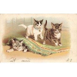 CHATS -MK40111 CHATS SOUS UN TAPIS COLLIER CLOCHETTE
