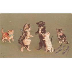 CHATS -MK40113 CHATS HUMANISER PANIER