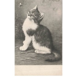 CHATS AD-MK222 CHAT ET INSECTE VOLANT PAR ILLUSTRATEUR W SCHWAR