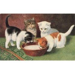 CHATS AG-MK818 QUATRES CHATS BOL DE LAIT