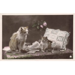 CHATS AG-MK805 DEUX CHATS COUSSIN FLEURS