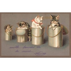 CHATS -MK40128 QUATRES CHATS DANS DES BOCAUX