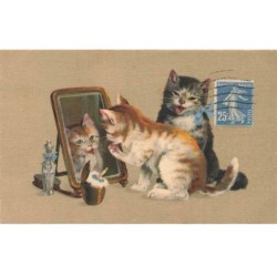 CHATS -MK40103 DEUX CHATS MIROIR