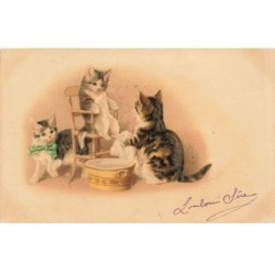 CHATS -MK40120 CHATS LAVAGE DES PATTES CHAISE SAUT DEAU