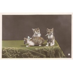 CHATS AG-MK808 TROIS CHATONS SUR UNE TABLE