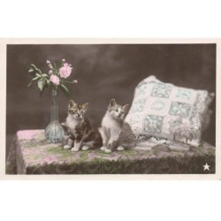 CHATS AG-MK806 DEUX CHATONS UN COUSSIN ET FLEURS