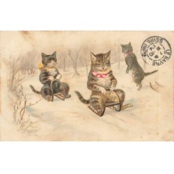 CHATS AD-MK210 CHATS SUR LUGES