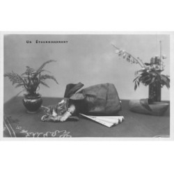 CHATS AD-MK223 UN ETOURDISSEMENT CHAT EVENTAIL