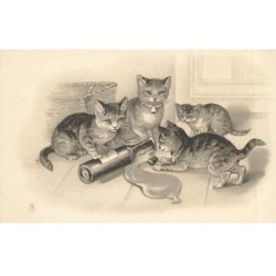 CHATS AD-MK220 CHATS ET BOUTEILLE RENVERSE