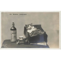 CHATS AD-MK207 UN REMEDE ENERGIQUE CHAT MALADE