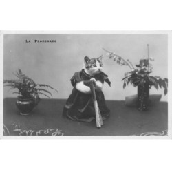 CHATS AD-MK206 LA PROMENADE UN CHAT ROBE NOIR EVENTAIL