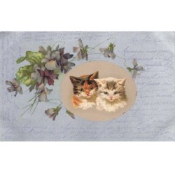 CHATS -MK43656 DEUX CHATS ET FLEURS MYOSOTIS VIOLETTE