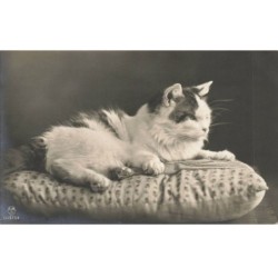 CHATS AD-MK204 UN CHAT SUR UN COUSSIN