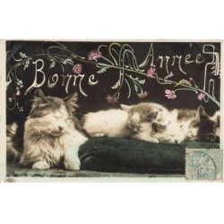 CHATS AF-DC509 CHAT ET CHATONS CARTE BONNE ANNEE