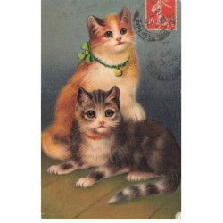 CHATS AG-MK067 DEUX CHATS AUX YEUX BLEU ET COLLIER CLOCHETTE